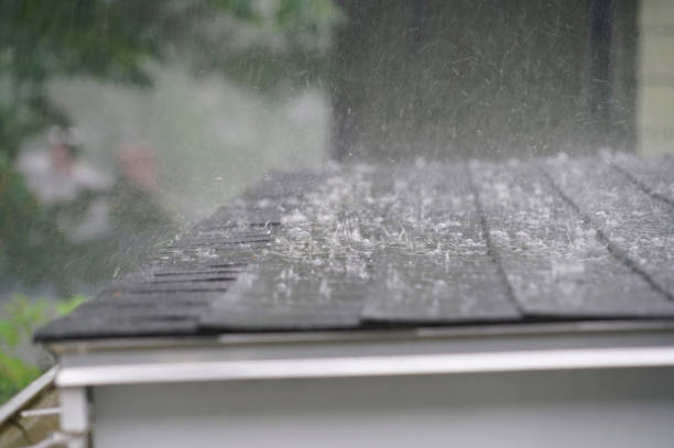 Best Asphalt Shingle Roofing  in North Fork, CA